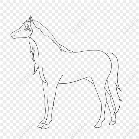 Kabayo Clipart Itim At Puti,sketch Ng Kabayo,kabayo.